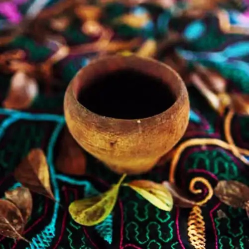 Ayahuasca